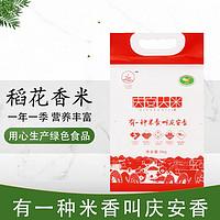 那里有粘大米花的食用胶 2026年怎样粘大米花