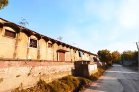 路过武汉远城区僻静乡道：入口像农村，沿途遍布树林建多座工厂图片