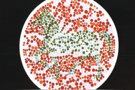 5张色觉测试图，第一张只能看到兔子，那就是绿色色弱图片
