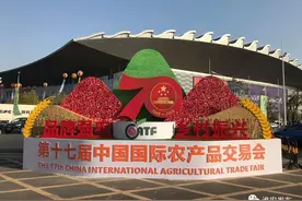 吸引全球目光！“淮味千年”又双叒火了……图片