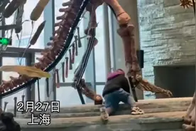 上海自然博物馆，“熊孩子”爬到恐龙脚下玩耍！家长竟在边上干这事图片
