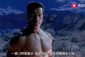 《终结者3》让阿诺赚这么多钱！西瓜视频大咖告诉你原因图片