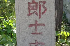地名档案 | 沈北新区财落街道：动迁后的郎士屯图片