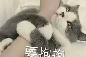 520的表情包已经为你准备好啦图片