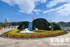 变废为宝巧手改造 秦岭“四宝”亮相宝鸡人民公园图片