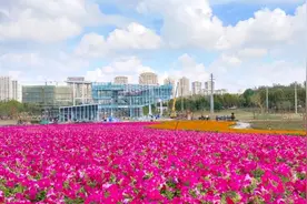 投资近1亿，安徽合肥新添一湿地公园，国庆节开园，提前带你看看图片
