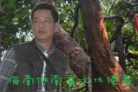 众说纷纭奇楠香，哪一种说法更靠谱？图片