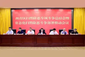 西青区扫黑除恶专项斗争总结会暨常态化扫黑除恶斗争部署推动会召开图片