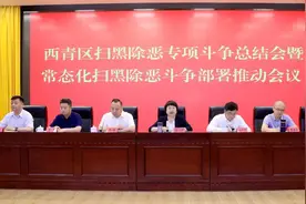西青区扫黑除恶专项斗争总结会暨常态化扫黑除恶斗争部署推动会召开图片