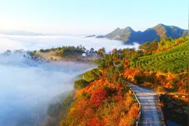 浙江仙居：天空之城“云海”如梦如幻图片