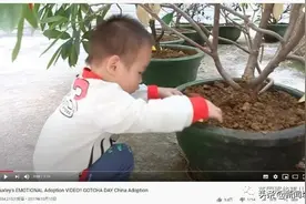 网红育儿博主从中国领养残障男孩后爆红…赚完人气后，居然退养了？图片
