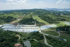 110家国家现代农业科技示范展示基地名单公布！图片