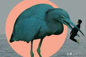 处于食物链顶端就没有天敌吗？就算是人类，仍然有两个天敌图片