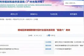 最高47楼+近150米+7栋超高层！新塘群星村复建区规划出炉图片