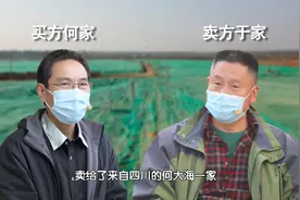 一张卖房契约，一场持续20年的宅基地之争图片