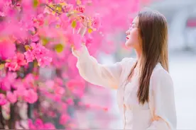 原来江门的市花是杜鹃图片