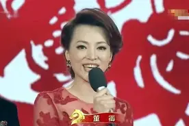 盘点央视春晚主持人，朱军主持过21次居第一！倪萍董卿均13次图片