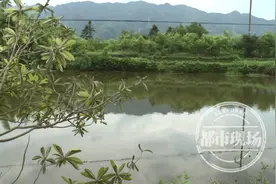 “快来救人！”女司机驾车高速冲进水塘，视频在朋友圈刷屏图片