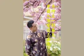 为什么一到春天，中国人独爱这三朵花？图片