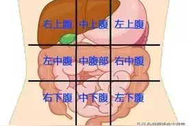 一张腹部地图，告诉你腹部疼痛对应哪个器官，终身有益图片