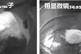 欧洲五星级酒店御用，瑞士PERTINE 珀婷深度除螨虫喷剂图片