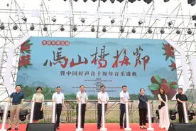 “梅”好生活，甜甜有你！马山杨梅节暨中国好声音10周年音乐盛典启动图片