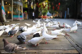 从旧厂房变成网红打卡地，文艺气息浓厚，年轻人都爱来创意产业园图片