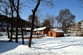如今四九，为什么老话说：四九雪淋淋，瘦马不瘦牛？图片