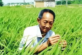 最爱做的事：杂交水稻之父——袁隆平图片