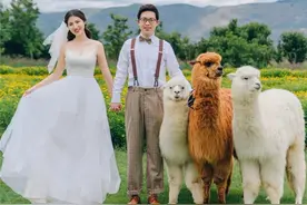 真实婚礼 | 高中最不被班主任看好的情侣，举办一场兔子主题婚礼图片