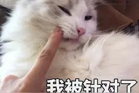 老是过敏竟是因为吃了这些！医生建议：这6种食物尽量少吃图片