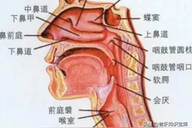 声乐学习中的三阶段，看看你在哪个阶段？图片