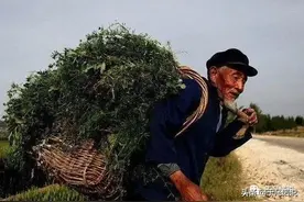 于凡诺说：究竟是什么逼得一个老实巴交的农民非得这样做的呢？图片