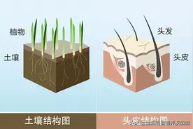 养发馆招商加盟项目火爆，养发产品如何选择？图片
