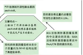 转基因番茄防龋疫苗中外源目的基因鉴定及表达检测图片