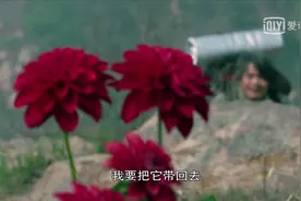 《灵魂摆渡》：画家写生回来，发现城市空无一人，静得让人害怕图片