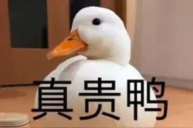 王珞丹找鸭事件：把别人的鸭吃个精光，竟然还不是“偷”？图片