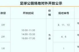 沌口武汉城市足球公园五一开门迎客，前10天免费开放，球迷可电话预约图片