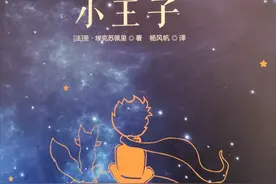 《小王子》：愿你走出半生 归来仍是少年图片