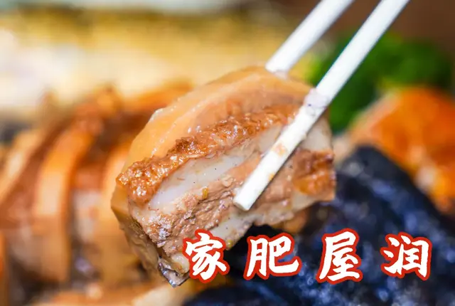 鳄鱼肉和花胶和海参 2026年鳄鱼肉和花胶和海参哪个好