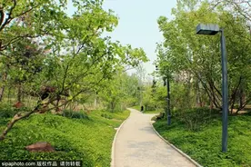 京南最大城市森林公园开放啦！5508亩，城南人已玩疯！图片