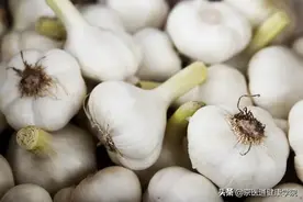 大蒜能降压、抗癌？一次说清关于蒜的5个问题图片