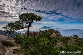 落落盘踞虽得地，冥冥孤高多烈风图片