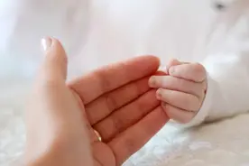我和母亲——母女关系对女性的影响图片