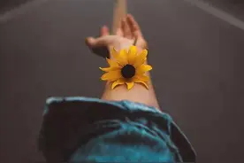 父母终于如愿以偿的生下弟弟，而我却过上了有家不能回的日子图片