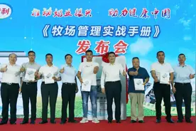 十年磨一剑，伊利牧场管理“利刃出鞘”，为中国奶业振兴化难解忧图片