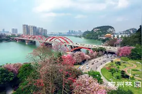 春风吹醒江滨梦 花木峥嵘色彩浓图片
