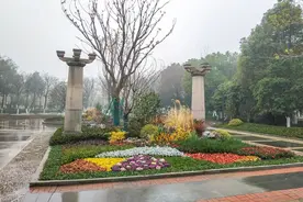 嘉兴嘉北街道百墅公园开放，一起感受自然气息吧图片