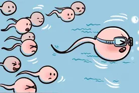 备孕男士如何提高精子活力？图片