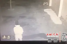 惊！凌晨3点，一个黑影站在十堰男子床边说“你猜我是谁？”惊慌报警图片